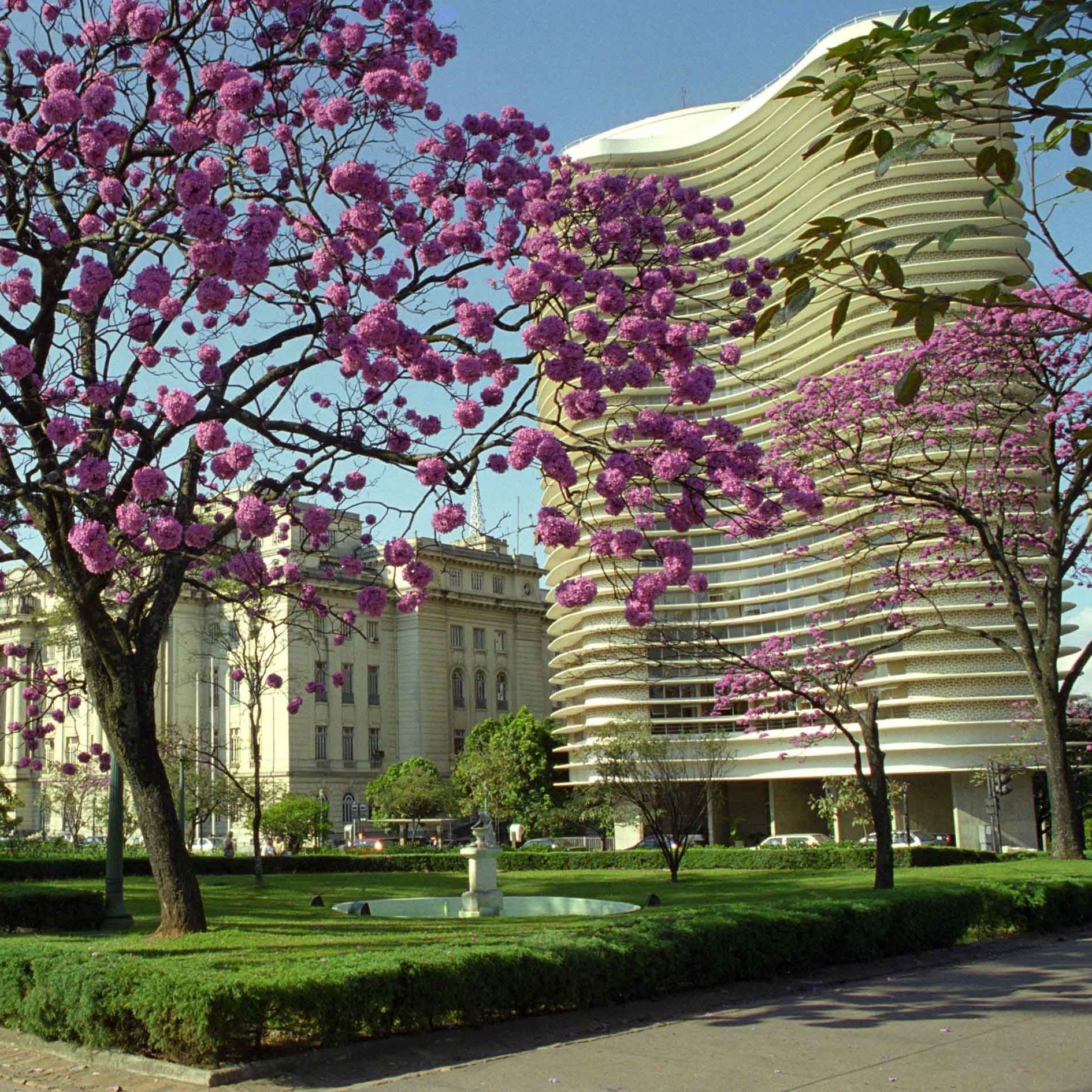 Imagem mostra a Praça da Liberdade, situada na região da Savassi.